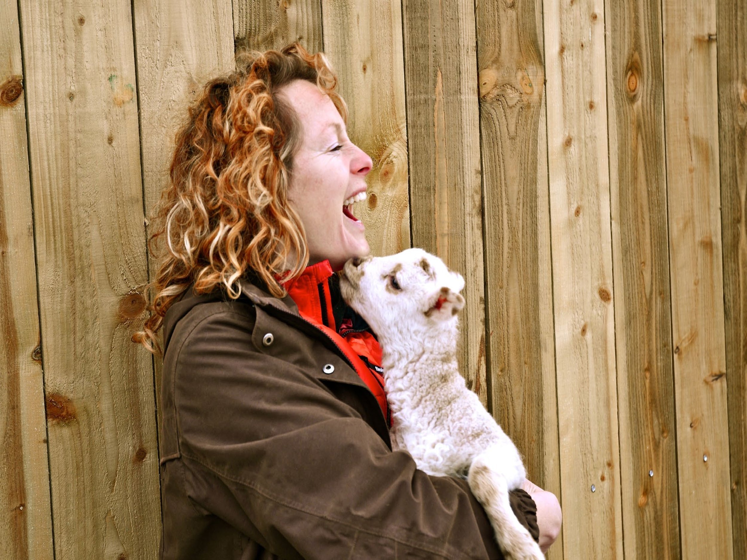 It's not a mattress, it's your life. - Vispring Los Angeles