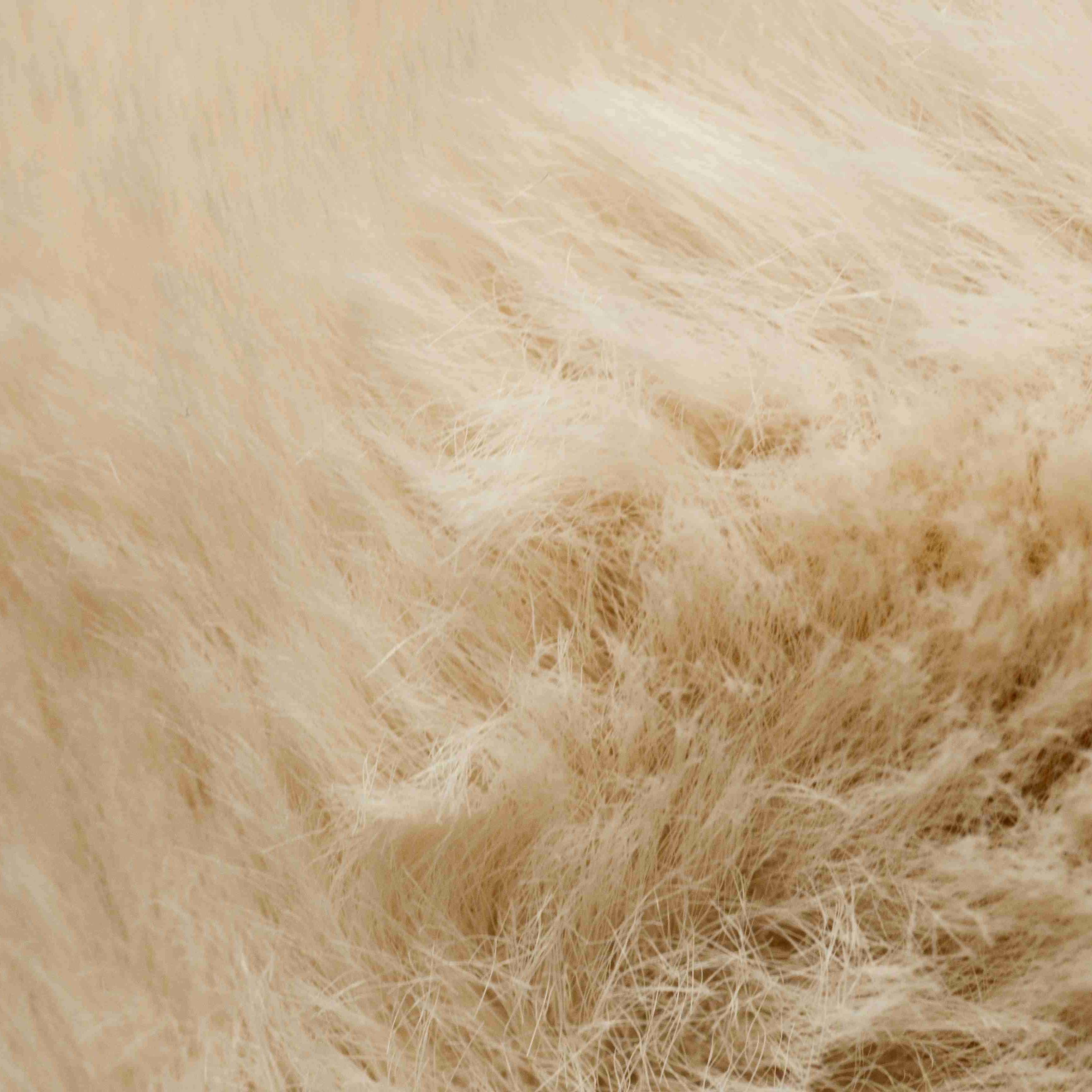 Close-up of beige fur texture