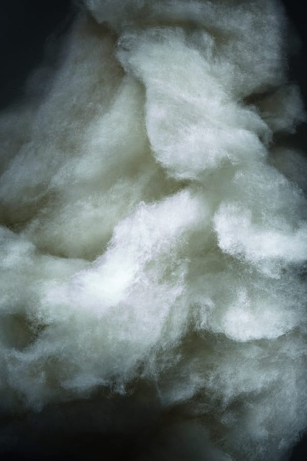 A close-up of fluffy white cotton or wool fibers against a very dark black background.